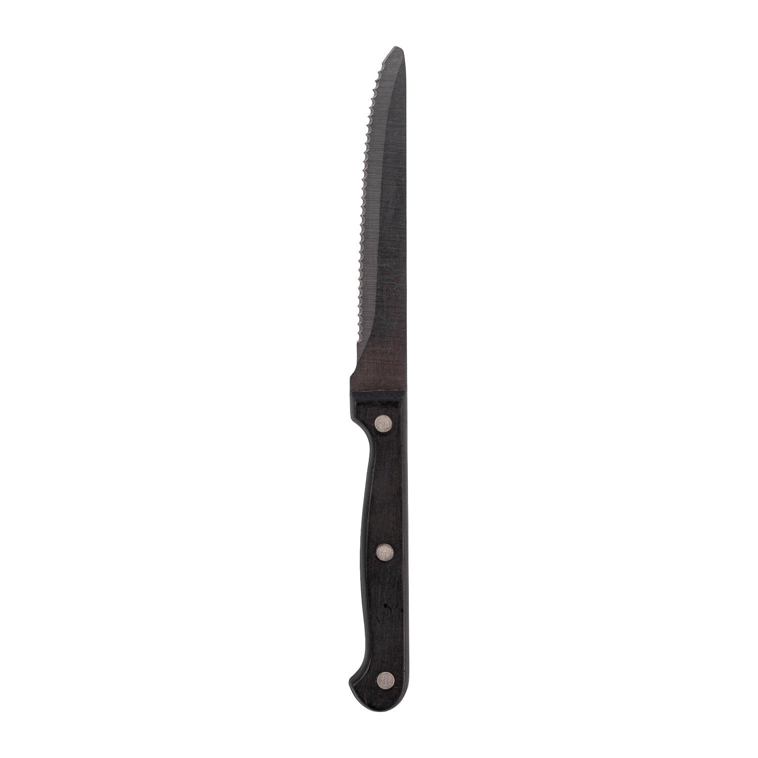 COLTELLO BISTECCA PUNTA TONDA-MANICO PLASTICA