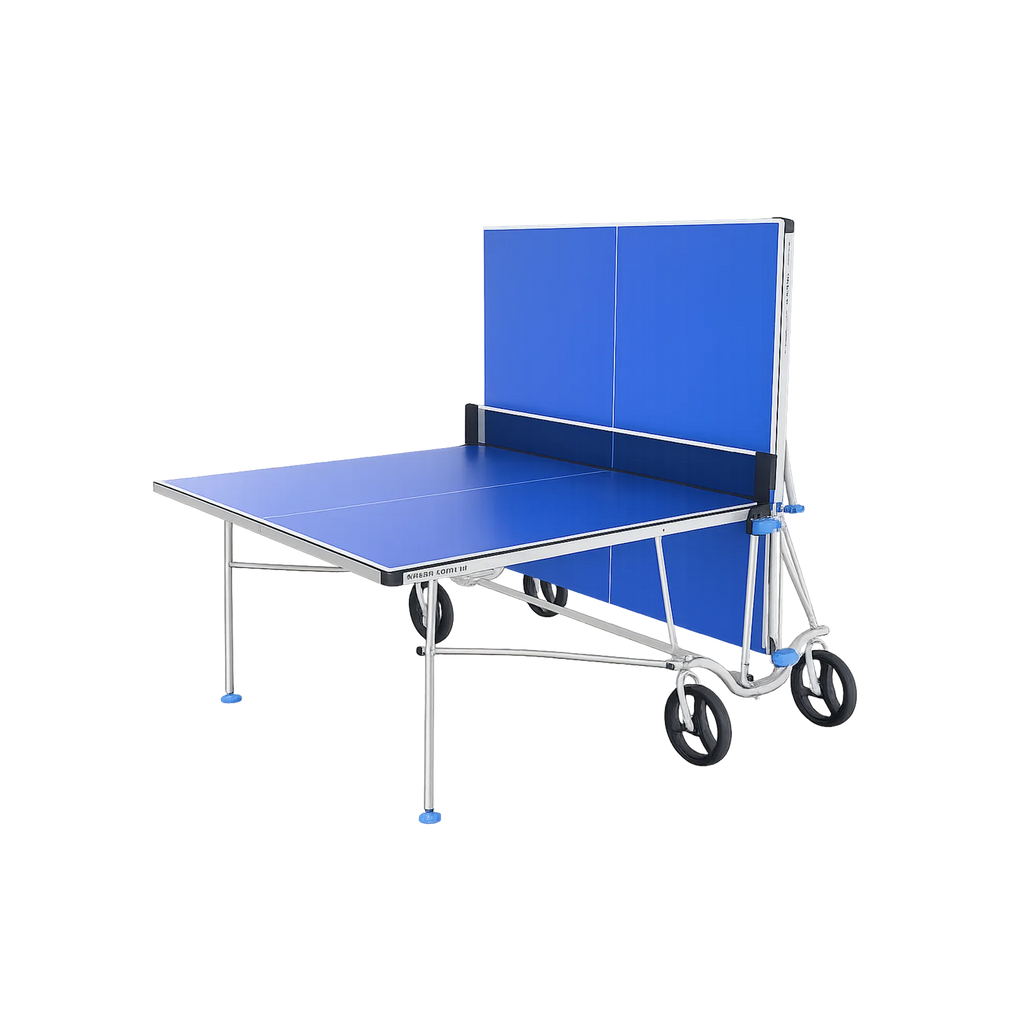 Tavolo da ping pong